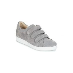 Buty André AVENUE. Szare trampki męskie Andre, bez wzorów, bez zapięcia. Za 349,00 zł.