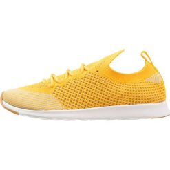 Native AP MERCURY LITEKNIT Tenisówki i Trampki groovy yellow/shell white. Żółte trampki i tenisówki damskie marki Native, z tworzywa sztucznego. Za 419,00 zł.