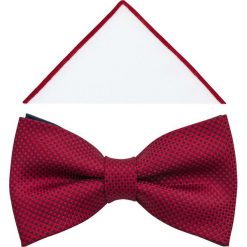 Czerwona muszka męska w delikatny wzór - kratka A376. Czerwone muszki męskie Modini Moda Męska, na co dzień, w kratkę, z poliesteru, eleganckie. W wyprzedaży za 49,50 zł.