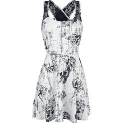Black Premium by EMP Sweet Lady Sukienka biały. Białe sukienki koronkowe marki Black Premium by EMP, l, w koronkowe wzory, z dekoltem na plecach, z krótkim rękawem, mini. Za 164,90 zł.