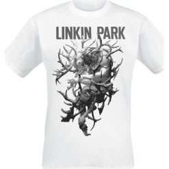 T-shirty męskie: Linkin Park Stag T-Shirt biały