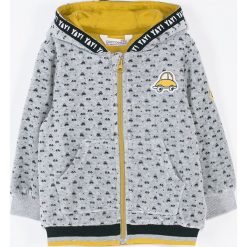Coccodrillo - Bluza dziecięca 68-86 cm. Szare bluzy chłopięce COCCODRILLO, z aplikacjami, z dzianiny, bez rękawów, z kapturem. Za 79,90 zł.