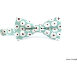 Margaretka. Miętowa mucha w kwiaty. Zielone muchy męskie Pakamera, w kwiaty, eleganckie. Za 69,00 zł.