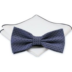 Mucha z poszetką - Chattier, Męska - Odcienie Fioletu MUCH0390. Muszki męskie Chattier, w paski, eleganckie. Za 44,00 zł.