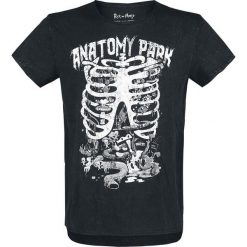 Rick And Morty Anatomy Park T-Shirt czarny. Czarne koszulki męskie marki Rick And Morty, l, bez wzorów, bez kołnierzyka. Za 99,90 zł.