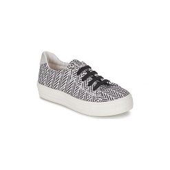 Buty Dziecko Shwik STEP LO CUT. Białe trampki dziewczęce Shwik, bez wzorów, bez zapięcia. Za 237,30 zł.