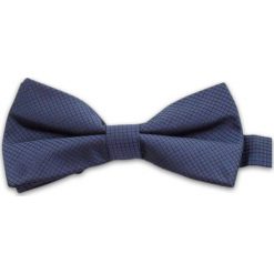 Elegancka Mucha w Drobną Kratkę, Męska MUVRN0031. Niebieskie muszki męskie Vernon, na imprezę, w paski, eleganckie. Za 29,00 zł.