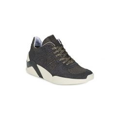 Buty Serafini CHICAGO. Czarne trampki i tenisówki damskie Serafini, bez wzorów, bez zapięcia. Za 529,50 zł.