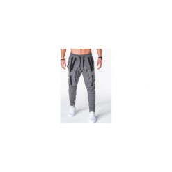Joggery męskie: SPODNIE MĘSKIE JOGGERY P671 – SZARE