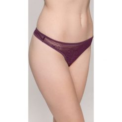 Stringi: Gossard – Stringi