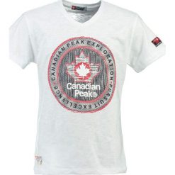 T-shirty męskie z nadrukiem: Koszulka „Jimothe” w kolorze białym