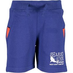 Blue Seven - Szorty dziecięce 92-128 cm. Niebieskie spodenki chłopięce Blue Seven, z nadrukiem, z bawełny, sportowe. W wyprzedaży za 29,90 zł.