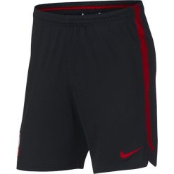 Spodenki i szorty męskie: Nike Spodenki męskie Dry Poland czarne r. L (893528 010)