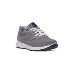 Trampki męskie: Buty Igi amp;co CAMOSCIO GRIGIO