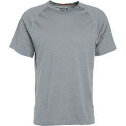 Koszulki polo: Smartwool LIGHT GRAY Tshirt basic light gray