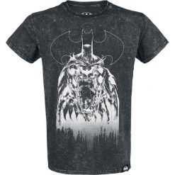Batman I Am The Night T-Shirt czarny. Czarne t-shirty męskie marki Batman, l, z nadrukiem, z okrągłym kołnierzem. Za 99,90 zł.