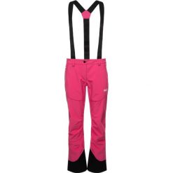 Spodnie narciarskie Jack Wolfskin Gravity Tour 1505121-2054. Różowe spodnie damskie Jack Wolfskin, z elastanu. W wyprzedaży za 449,00 zł.