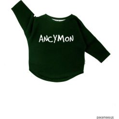 Bluza Ancymon - zielony. Zielone bluzy dziewczęce marki Pakamera, z bawełny. Za 60,00 zł.