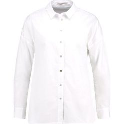 Koszule wiązane damskie: Aaiko PHILIPA Koszula crispy white
