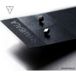 Srebrne kolczyki geometryczne wkrętki CUBE I. Szare kolczyki damskie Pakamera, srebrne. Za 65,00 zł.