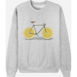 Bluza "Zest" w kolorze szarym. Szare bluzy męskie Wooop, xl, bez wzorów, z okrągłym kołnierzem, bez rękawów, bez kaptura. W wyprzedaży za 87,95 zł.