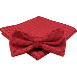 Modna Mucha Męska - Alties - Czerwona z Fakturą MUALTS0223. Czerwone muszki męskie Alties, w paski, eleganckie. Za 39,00 zł.