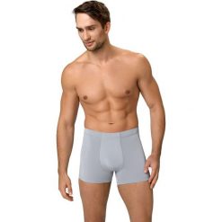 Bokserki męskie: Gwinner Bokserki męskie PERFECT FIT Men’s Shorts LIGHTline szare r. L