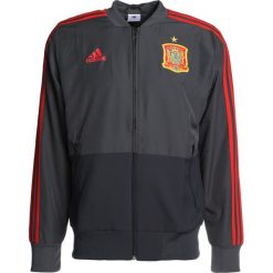 Koszulki sportowe męskie: adidas Performance Koszulka reprezentacji grey/dark grey