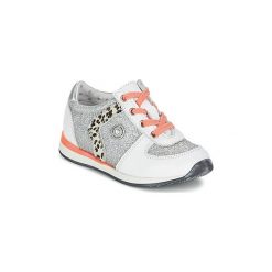 Buty Dziecko Catimini CATALPA. Szare trampki dziewczęce marki Catimini, bez wzorów, bez zapięcia. Za 327,20 zł.