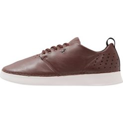 Trampki męskie: Boxfresh Tenisówki i Trampki brown