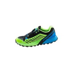Trampki męskie: Buty Dynafit 64028-3101 Alpine Pro