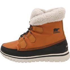 Buty zimowe damskie: Sorel COZY CARNIVAL Botki sznurowane caramel/black