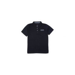 Koszulki polo: t-shirt polo męski