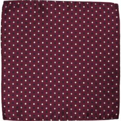 Elegancka, Męska Poszetka - ALTIES - Bordo, Grochy POSZALTTANIA0108. Czerwone poszetki męskie Alties, w grochy, z materiału, eleganckie. Za 16,90 zł.