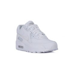 Trampki męskie: Buty Nike AIR MAX 90 ESSENTIAL