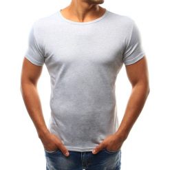T-shirty męskie: T-shirt męski szary (rx2570)