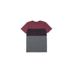 T-shirt krótki rękaw męski gładki. Szare t-shirty męskie marki TXM, z dresówki. Za 19,99 zł.