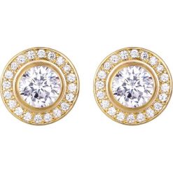 Pozłacane kolczyki-wkrętki z kryształkami Swarovski. Żółte kolczyki damskie Park Avenue, z kryształem, złote. W wyprzedaży za 39,95 zł.