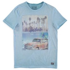 Cars-Jeans Męski T-shirt Vibes 4125771 Greyblue (rozmiar M). Koszulki męskie Cars Jeans, m, bez wzorów, z bawełny, bez kołnierzyka. W wyprzedaży za 65,00 zł.