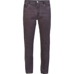 Jeansy męskie: Black Premium by EMP Simple Vince Jeansy bordowy