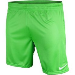 Nike Spodenki męskie Park zielone r. M. Zielone spodenki sportowe męskie Nike, sportowe. Za 46,68 zł.