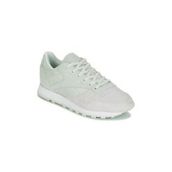 Buty Reebok Classic CLASSIC LEATHER NBK. Zielone trampki i tenisówki damskie Reebok Classic, bez wzorów, bez zapięcia. Za 319,20 zł.