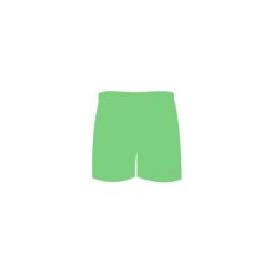Kąpielówki chłopięce: AQUAWAVE Szorty MAGNETIC KIDS SUMMER GREEN r. 116
