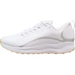 Buty sportowe męskie: Jordan ZOOM TENACITY Obuwie do koszykówki white/light brown/reflect silver/white