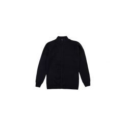 Sweter męski rozpinany. Czarne kardigany damskie marki TXM, m. Za 31,99 zł.