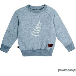 Bluzy chłopięce: Bluza flora 04