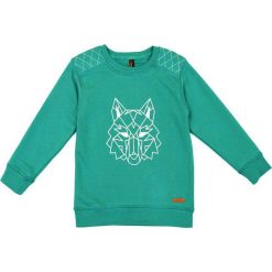 Bluzy męskie: Nativo – Bluza dziecięca 104-152 cm