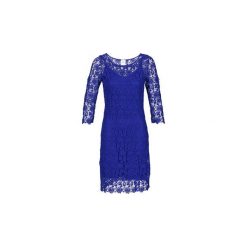 Sukienki: Sukienki krótkie Alba Moda SPINTZENKLEID