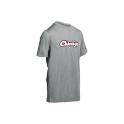 T-shirty męskie: Koszulka FAST Chicago