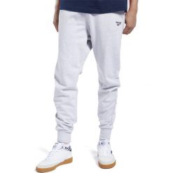 REEBOK CLASSICS VECTOR PANTS > FK2672. Spodnie męskie Reebok, na imprezę, s, bez wzorów, z bawełny, street. Za 199,99 zł.